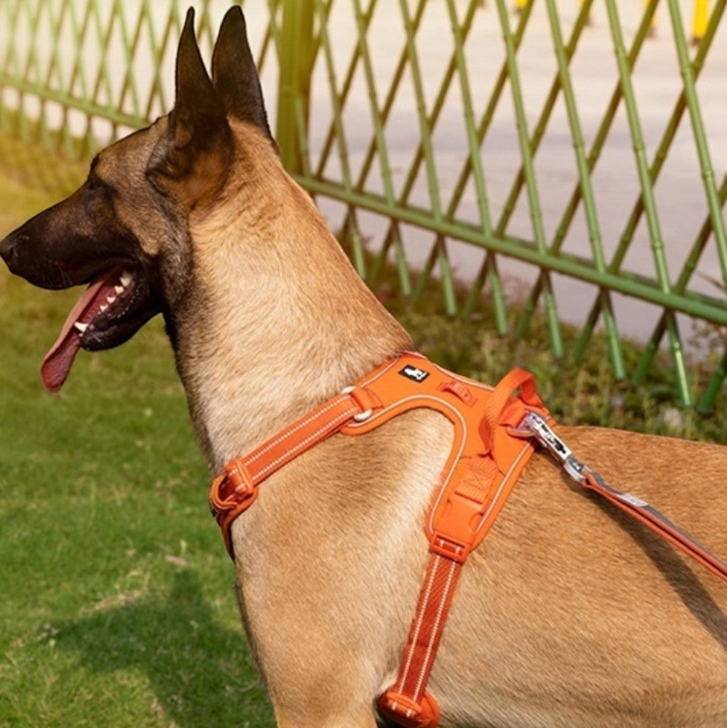 ReflectPro Harness