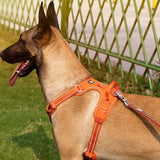 ReflectPro Harness