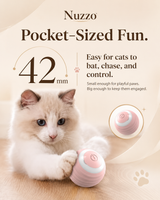 Smart Interactive Dog Ball