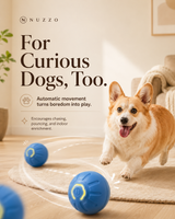 Smart Interactive Dog Ball