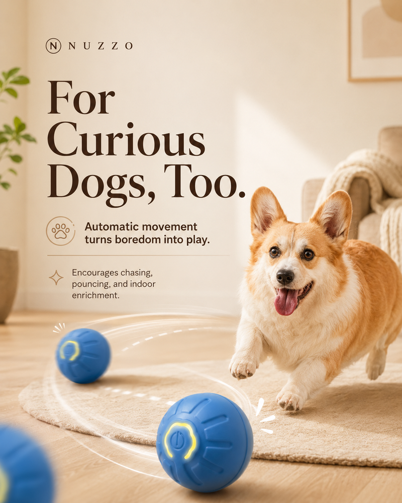 Smart Interactive Dog Ball