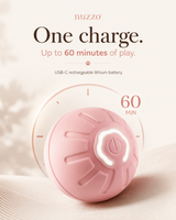 Smart Interactive Dog Ball