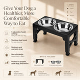 Nuzzo AdjustaBowl 5-level elevated dog feeder with two stainless steel bowls and adjustable black stand