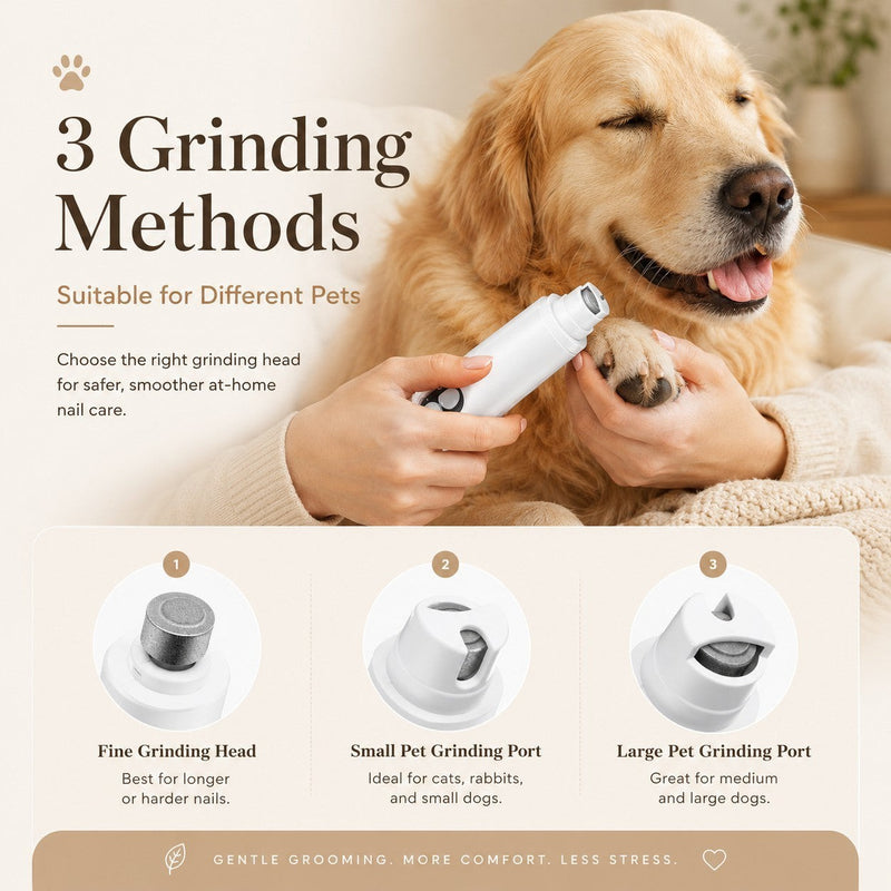 Nuzzo 2-in-1 pet nail grinder being used on a golden retriever's paw, showing three interchangeable grinding heads.