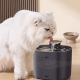 Nuzzo PureFlow black smart pet fountain with a white cat drinking from the flowing water stream in a modern home.